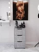 Комод Furnigrade КМ-9 Індастріал 730х410х400 - зображення 2