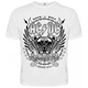 Біла футболка AC/DC (since 1973), Розмір XL - изображение 1
