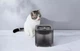 Миски и контейнеры PETKIT Eversweet Solo SE Smart Pet Drinking Fountain Grey Фонтан-поилка 1,8 л (P4103S GREY) - изображение 7