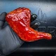 Приправа Darrin Williams - Ash Kickin Honey Chipotle Rub для свинины, курицы 340 г - изображение 3