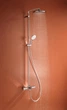 Душевой гарнитур GROHE Tempesta System 250 26672001 - изображение 4