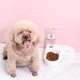 Двойная миска на подставке с отделом корма Pet Love Bowl Автопоилка и кормушка для кошек и собак - изображение 8