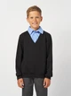 Подростковый свитшот-обманка для мальчика Smile Time Scholar OX26-12-1 140 см Черный с голубым (st_2000000190280) - изображение 1