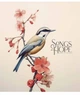 Комплект 5 шт загальних зошитів Songs of hope. Зошит Школярик 60 арк. у клітинку 3355 060-3355K 4823088231403 - изображение 3