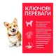 Сухий корм для собак міні і малих порід з куркою Hills Science Plan Adult Small & Mini Chicken 3 кг - зображення 2