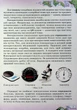 Інформатика , 6 кл. Підручник (НУШ) - Морзе Н. В. - ОРІОН (122161) - изображение 5