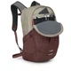 Рюкзак туристический Osprey Comet 30 sawdust tan/raisin red O/S (009.3645) - изображение 4