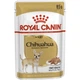 Вологий корм для собак Royal Canin Chihuahua Adult 85 г - изображение 1