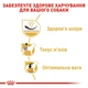 Сухий корм для собак Royal Canin Pug Adult 3 кг - изображение 3