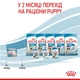 Вологий корм для цуценят Royal Canin Royal Starter Mousse 195 г - изображение 5