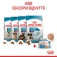 Вологий корм для цуценят Royal Canin Royal Starter Mousse 195 г - изображение 6