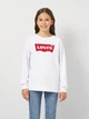 Подростковый свитшот Levi's LVG Key Item Logo Crew 4E6660-W5J 158 см - изображение 1