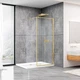 Душевая стенка DUSEL Walk-In WL172G Gold 1000*2000 (8мм) - изображение 1