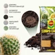 Торфосмесь для кактусов COMPO CACTEA 5 л (1221/4008398112219) - изображение 5