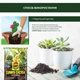 Торфосмесь для кактусов COMPO CACTEA 5 л (1221/4008398112219) - изображение 8