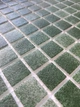 Мозаика АкваМо зеленая PW25213 Green 31.7х31.7 стеклянная для душевой,кухни,хамама,бассейна - изображение 4
