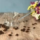 Турка для кофе из боросиликатного стекла "Мокка", 150 мл - изображение 3