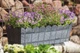 Балконный ящик для цветов Form-Plastic Wood под дерево 12 л 17 х 15 х 55 см, Цвет Терракот - изображение 2