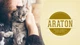 Повноцінний сухий корм для дорослих собак з ягнятиною ARATON LAMB Adult All Breeds 3кг - изображение 4