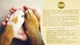 Повноцінний сухий корм для дорослих собак з ягнятиною ARATON LAMB Adult All Breeds 3кг - изображение 6