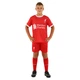 Форма футбольна дитяча Liverpool Ліверпуль SP-Sport 7190 розмір L(28) зріст 145-155 см - зображення 8