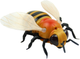 Pszczoła zdalnie sterowana Woopie Honeybee (5906280650186) - obraz 1