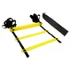 Координационная лестница EasyFit EF-1675, 6 м - изображение 1