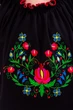 Вишиванка для дівчаток (підліткова) з коротким рукавом Носи своє 110 Чорний (p-10393-111615) - изображение 3