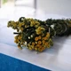 Пижма связка для окуривания 29 грамм 23 см Благовония NN093 - изображение 3