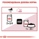 Royal Canin 3+1 Royal Canin Instinctive In Gravy Вага: 0,085 кг | Консервований корм у соусі для котів Паучі (0273574308937) (11757) - зображення 8