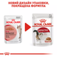 Royal Canin 3+1 Royal Canin Instinctive In Gravy Вага: 0,085 кг | Консервований корм у соусі для котів Паучі (0273574308937) (11757) - зображення 10