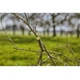 Секатор Gardena ExpertCut обводной 22 мм (12203-20.000.00) - изображение 5