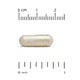 Глюкозамин, Хондроитин, МСМ и Гиалуроновая кислота (Glucosamine Chondroitin, MSM plus Hyaluronic Acid), California Gold Nutrition, 120 капсул(352474382) - изображение 3