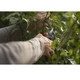 Секатор Husqvarna Medium (5463416-01) - изображение 2