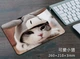 Коврик для компьютерной мышки Кот Кошка (21*26*2мм) Mouse мыши - изображение 8