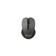 Мышка Canyon MW-1 Wireless (CNE-CMSW1G)[11082] - изображение 1