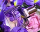 Тестер Туалетная вода для женщин Givenchy Irresistible 80 мл (3274872438842) - изображение 2