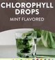 Рідкий хлорофіл Nature's Way Chlorofresh Mint 40X Liquid 59 мл - зображення 4