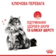 Консервы для кошек Royal Canin Hair & Skin Care поддержания красоты шерсти, кусочки в желе, 85 г - изображение 8