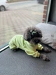 Трикотажний костюм для собак від WowPaw салатовий L - изображение 7