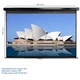 Проекційний екран ELITE SCREENS M100UWH настінний стельовий 100" 221.0x124.5см 16:9 - зображення 1