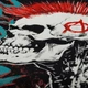 Футболка Rockway Punk's Not Dead (скелет с ирокезом) (00000002667), Размер 4XL (XXXL Euro) - изображение 5