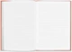 Записная книжка Caran d'Ache Colormat-X А5 120 страниц в линейку Оранжевый (7630002354073) - изображение 2