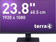 Monitor 23.8" Terra 2448W (3030225) - obraz 1