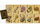 Настольная игра Games 7 Days Сокровища пиратов: Полное издание (Dead Man's Draw) (укр.) (SBPR01UA) - изображение 7
