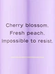 Подарунковий набір Victoria's Secret Love Spell Fragrance Mist + Lotion (26468775-26625314) - зображення 2