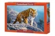 Пазл Castorland puzzle Тигр на камнях, 500 эл. (B-53346) - изображение 1