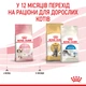 Сухий корм для кошенят Royal Canin Kitten 400 г - изображение 6