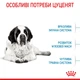 Корм для молодих собак ROYAL CANIN GIANT JUNIOR 15 кг - зображення 5
