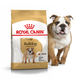 Сухий корм Royal Canin Bulldog для собак породи бульдог 3 КГ. - изображение 2